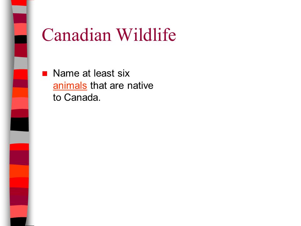 Canadian Wildlife Name at least six animals that are native to Canada. animals
