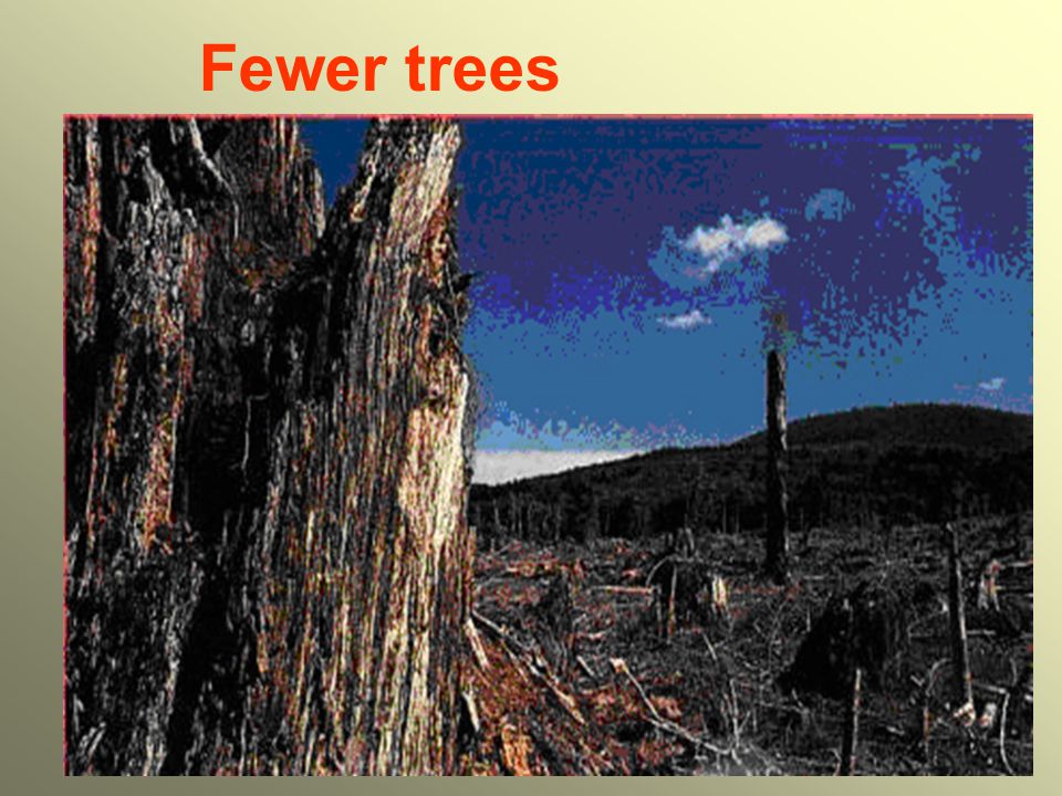 Fewer trees
