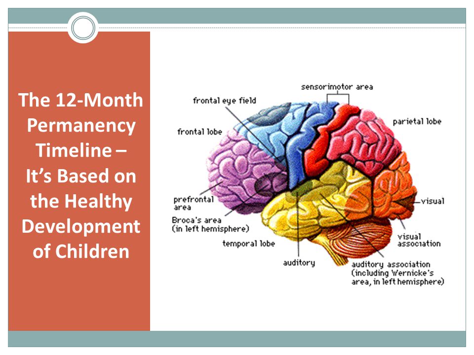 The 12-Month Permanency Timeline – It’s Based on the Healthy Development of Children