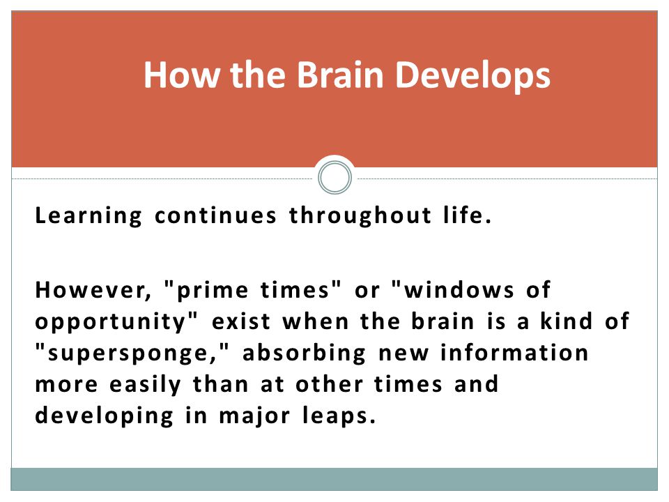 How the Brain Develops Learning continues throughout life.