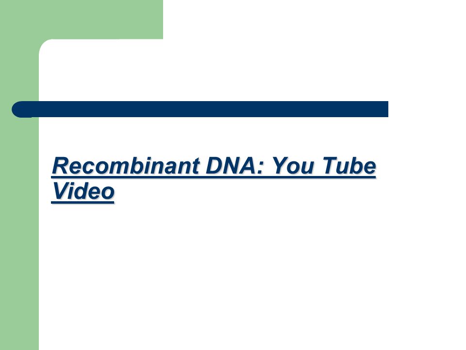 Recombinant DNA: You Tube Video Recombinant DNA: You Tube Video