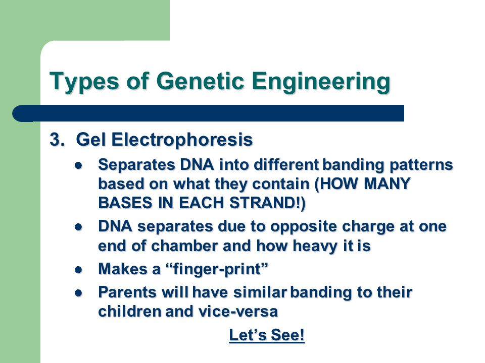 Types of Genetic Engineering 3.