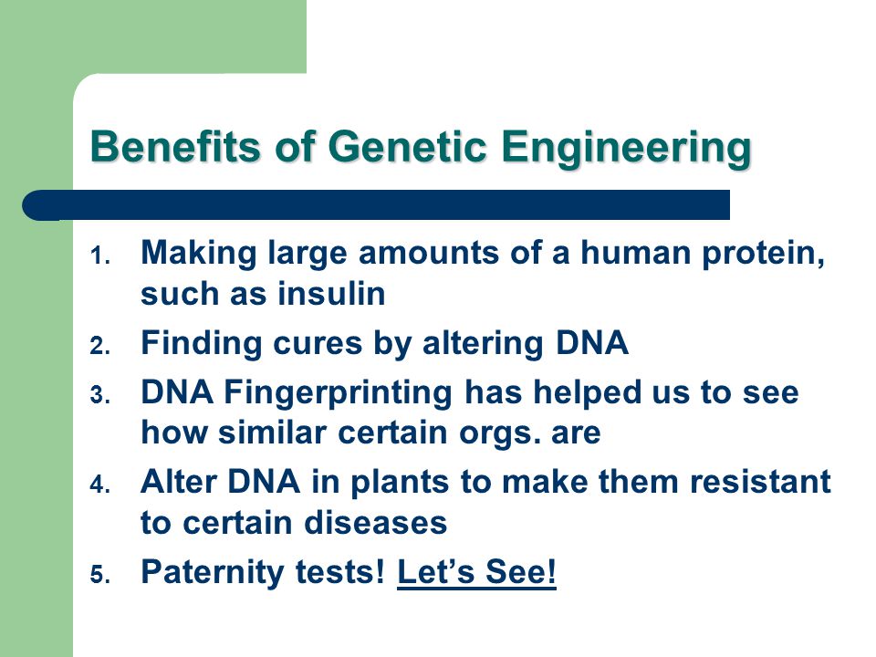 Benefits of Genetic Engineering 1. Making large amounts of a human protein, such as insulin 2.