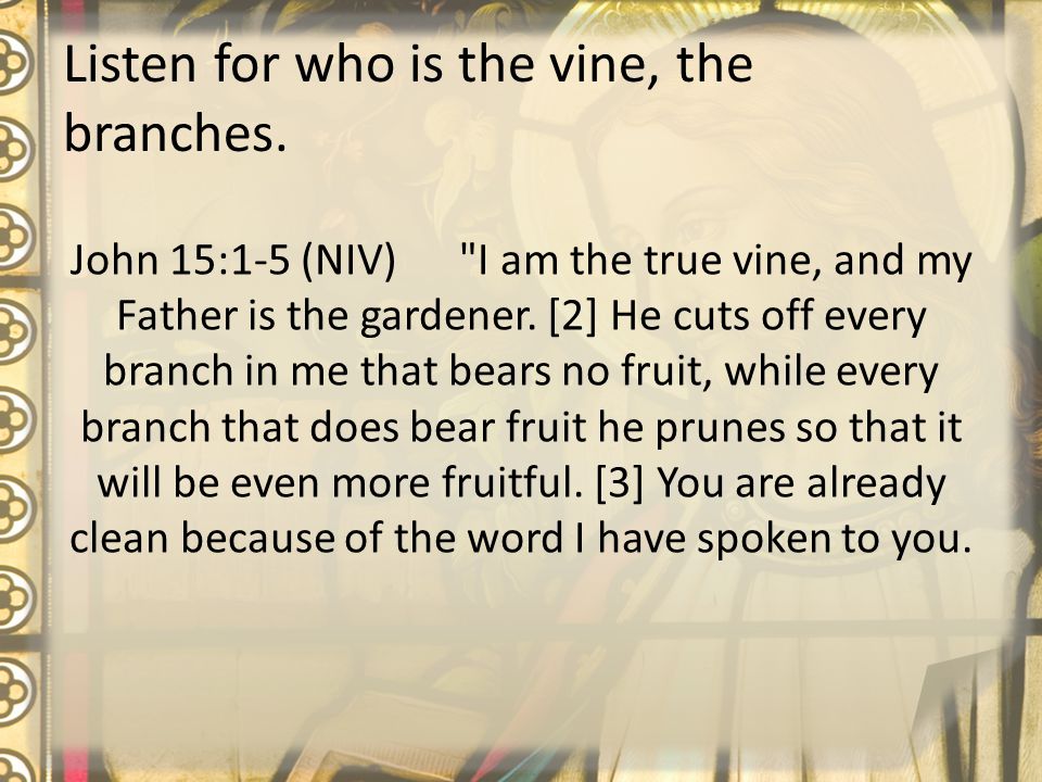 Listen for who is the vine, the branches.