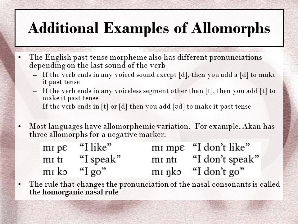 morphology allomorph