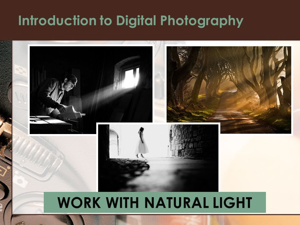Introduction to Digital Photography WORK WITH NATURAL LIGHT