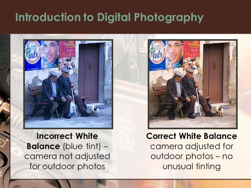 Introduction to Digital Photography Incorrect White Balance (blue tint) – camera not adjusted for outdoor photos Correct White Balance camera adjusted for outdoor photos – no unusual tinting