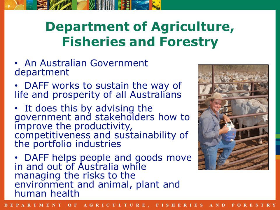 Department of Agriculture, Fisheries and Forestry An Australian Government department DAFF works to sustain the way of life and prosperity of all Australians It does this by advising the government and stakeholders how to improve the productivity, competitiveness and sustainability of the portfolio industries DAFF helps people and goods move in and out of Australia while managing the risks to the environment and animal, plant and human health