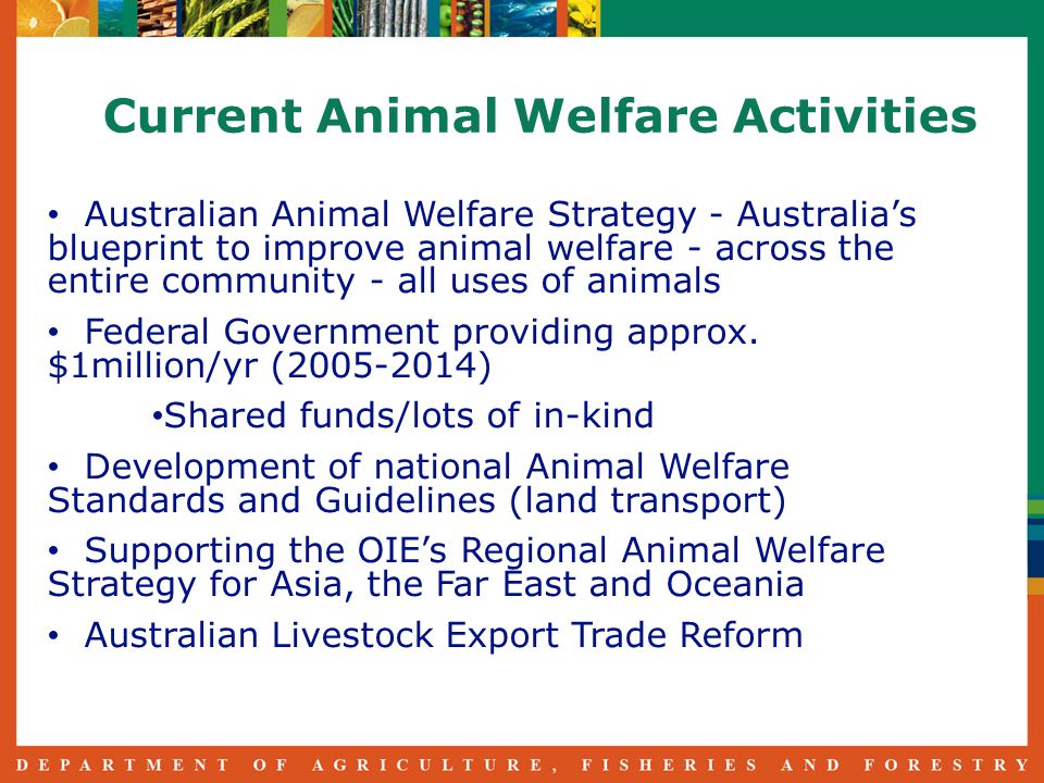 Australian Animal Welfare Strategy - Australia’s blueprint to improve animal welfare - across the entire community - all uses of animals Federal Government providing approx.