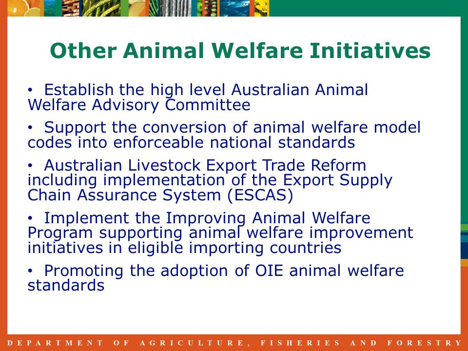 Establish the high level Australian Animal Welfare Advisory Committee Support the conversion of animal welfare model codes into enforceable national standards Australian Livestock Export Trade Reform including implementation of the Export Supply Chain Assurance System (ESCAS) Implement the Improving Animal Welfare Program supporting animal welfare improvement initiatives in eligible importing countries Promoting the adoption of OIE animal welfare standards Other Animal Welfare Initiatives