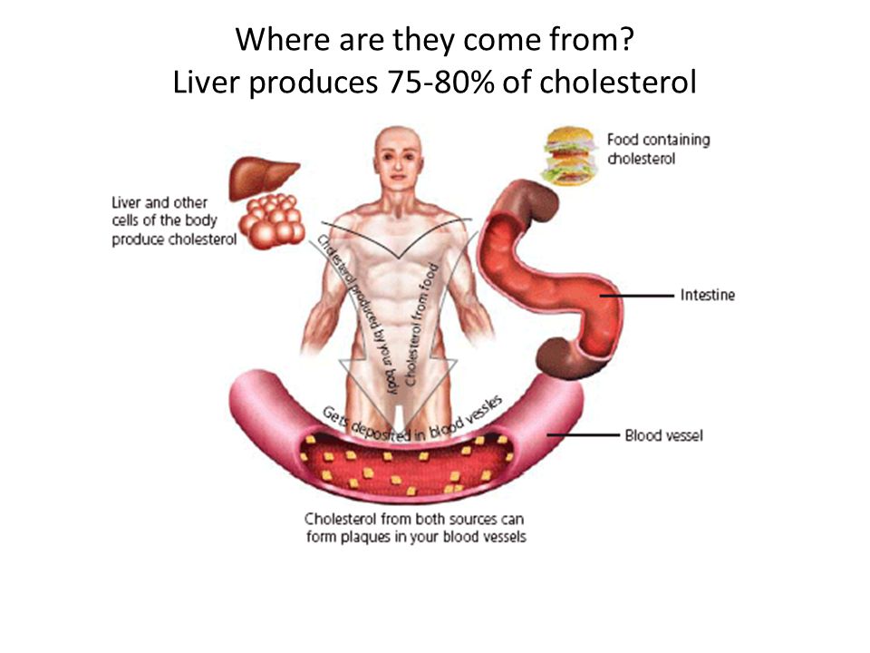 Where are they come from Liver produces 75-80% of cholesterol