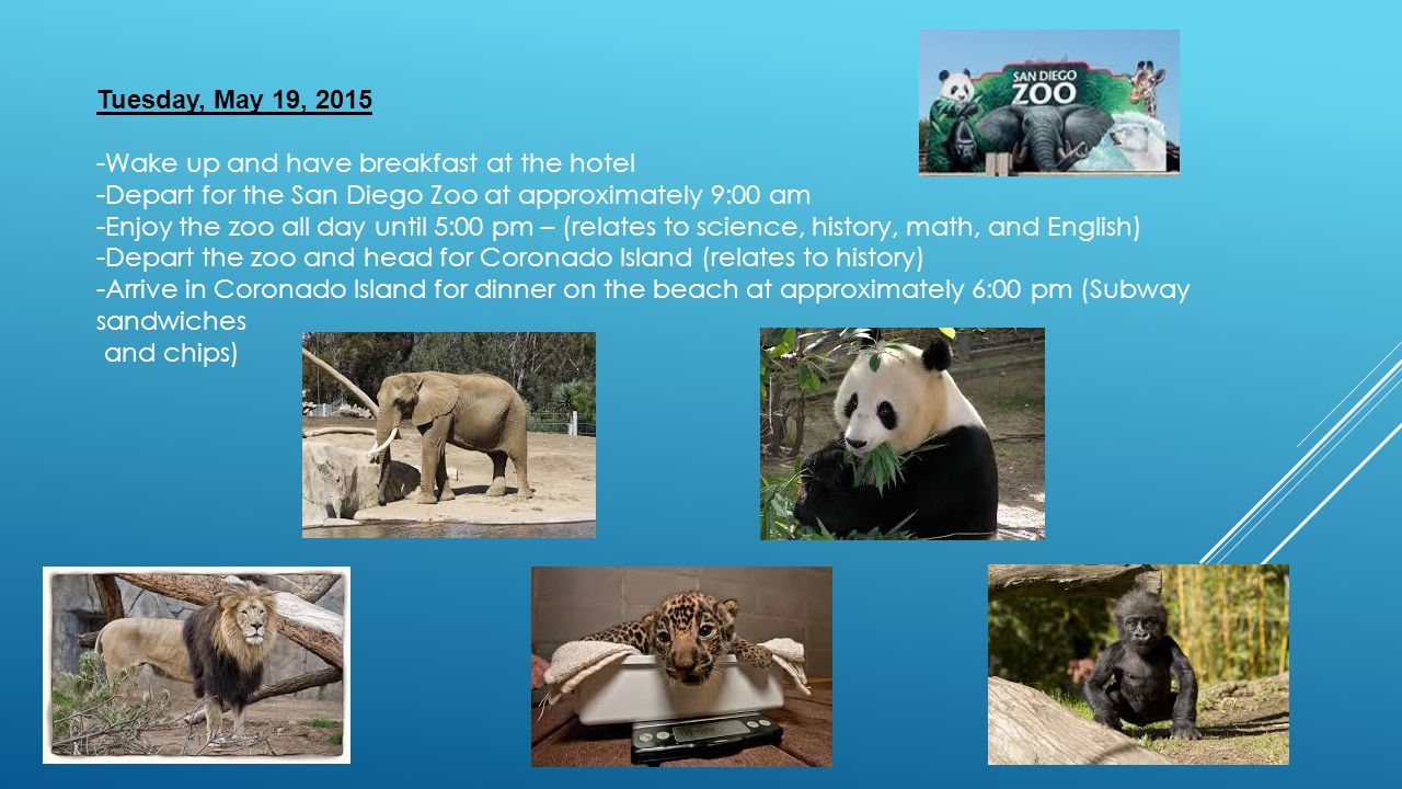 Tuesday, May 19, Wake up and have breakfast at the hotel -Depart for the San Diego Zoo at approximately 9:00 am -Enjoy the zoo all day until 5:00 pm – (relates to science, history, math, and English) -Depart the zoo and head for Coronado Island (relates to history) -Arrive in Coronado Island for dinner on the beach at approximately 6:00 pm (Subway sandwiches and chips)