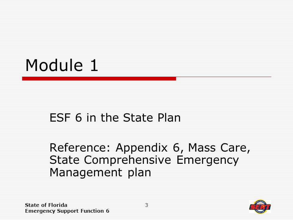 State of Florida Emergency Support Function 6 3 Module 1 ESF 6 in the State Plan Reference: Appendix 6, Mass Care, State Comprehensive Emergency Management plan