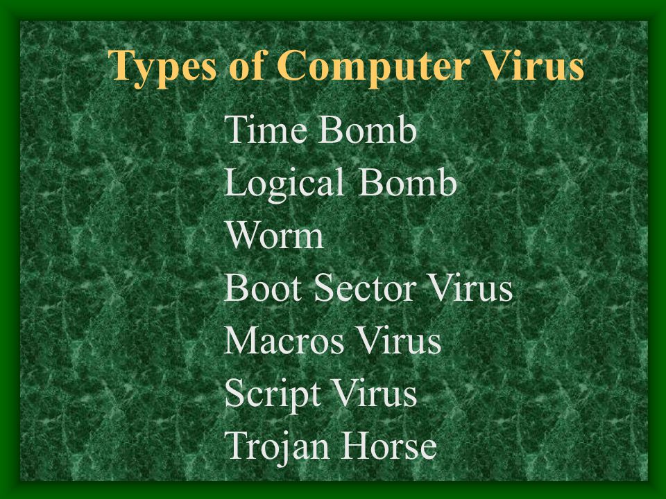 Types of Computer Virus Time Bomb Logical Bomb Worm Boot Sector Virus Macros Virus Trojan Horse Script Virus