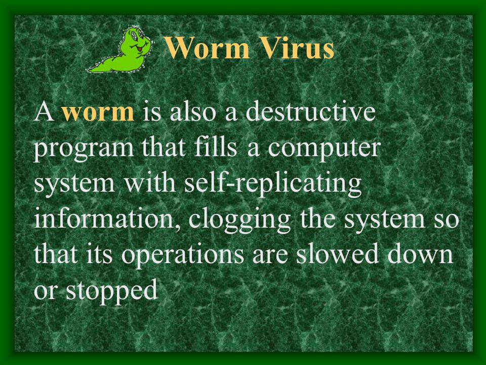 Worm Virus A worm is also a destructive program that fills a computer system with self-replicating information, clogging the system so that its operations are slowed down or stopped
