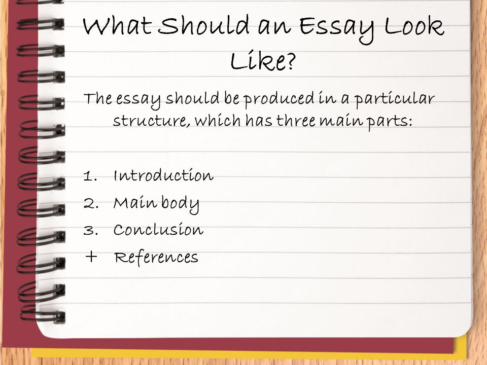 What Should an Essay Look Like.