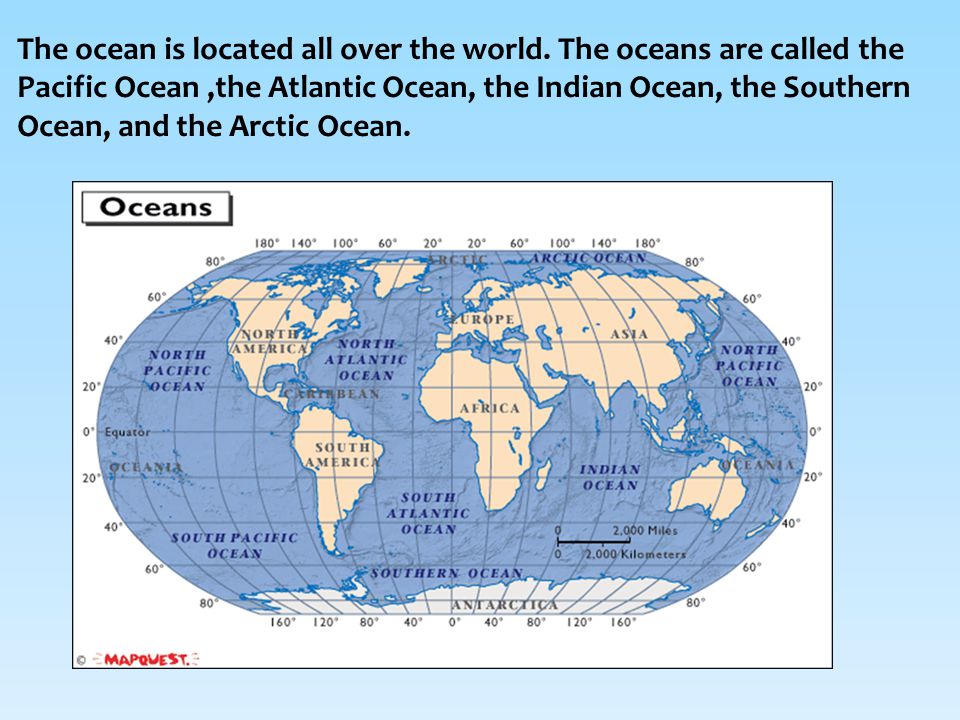The ocean is located all over the world.