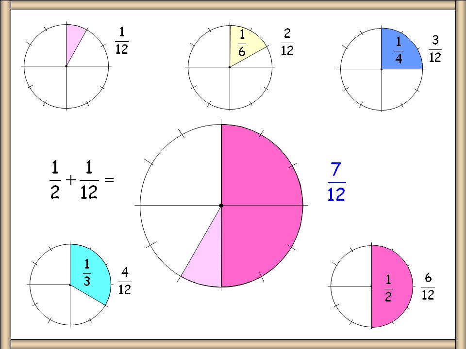 12 Sector Circle