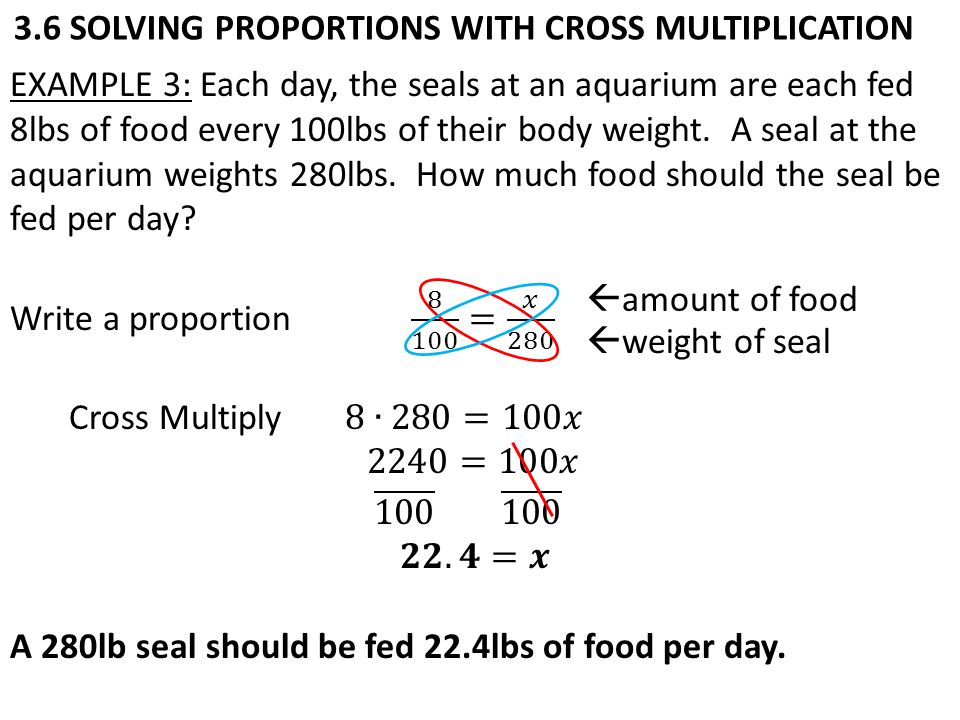 amount of food  weight of seal