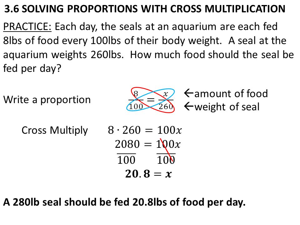 3.6 SOLVING PROPORTIONS WITH CROSS MULTIPLICATION  amount of food  weight of seal