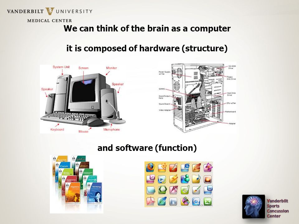 We can think of the brain as a computer it is composed of hardware (structure) and software (function)