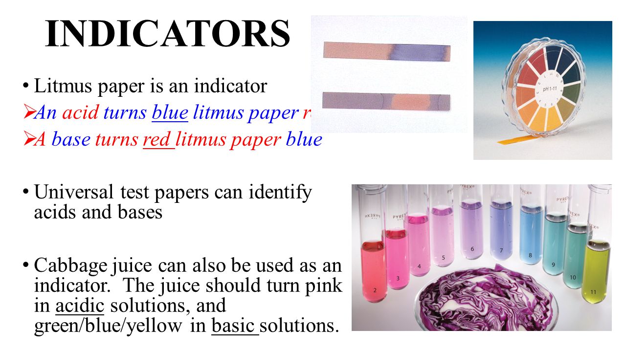 27 Amazing Litmus Paper Test For Acids And for Litmus Paper Test For Acids And Bases
111ane 27 Amazing Litmus Paper Test For Acids And for Litmus Paper Test For Acids And Bases
111ane