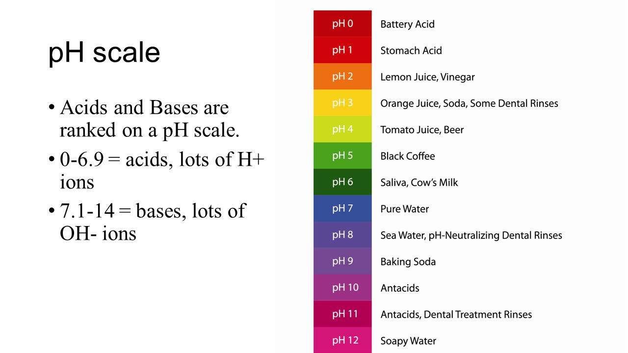 Acids and Bases Two special classes of compounds. - ppt download for Ph Scale Acids And Bases
59nar Acids and Bases Two special classes of compounds. - ppt download for Ph Scale Acids And Bases
59nar