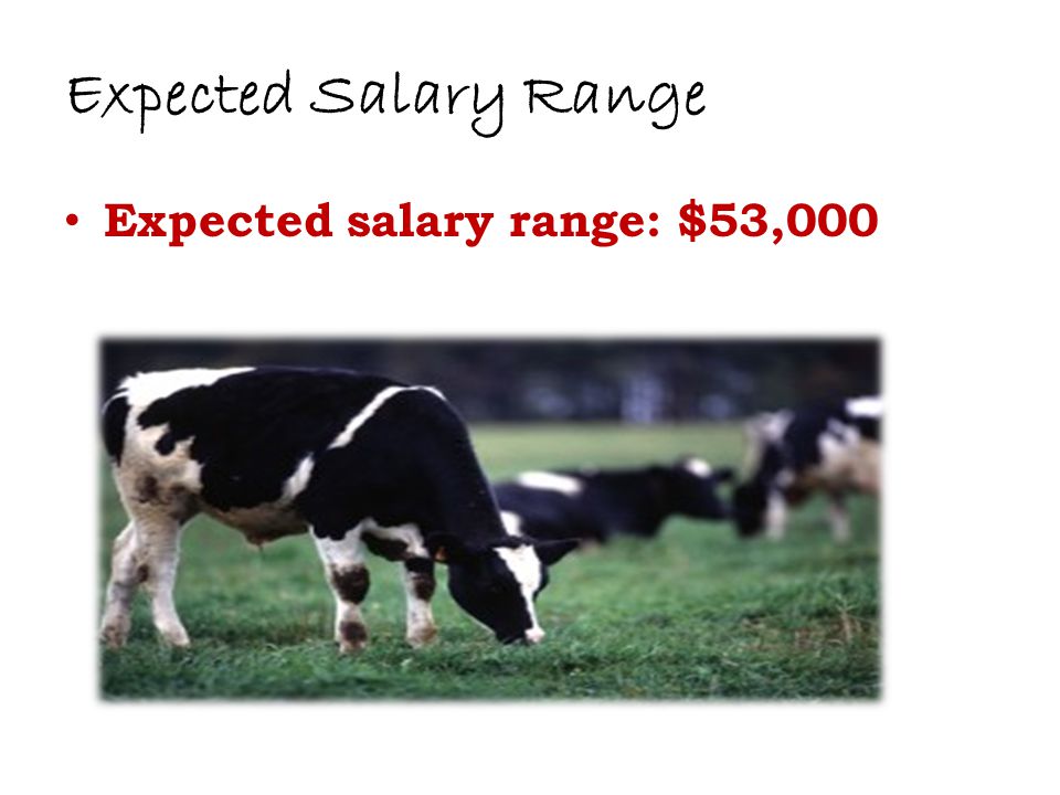 Expected Salary Range Expected salary range: $53,000