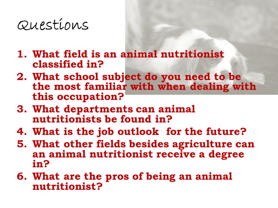 Questions 1.What field is an animal nutritionist classified in.