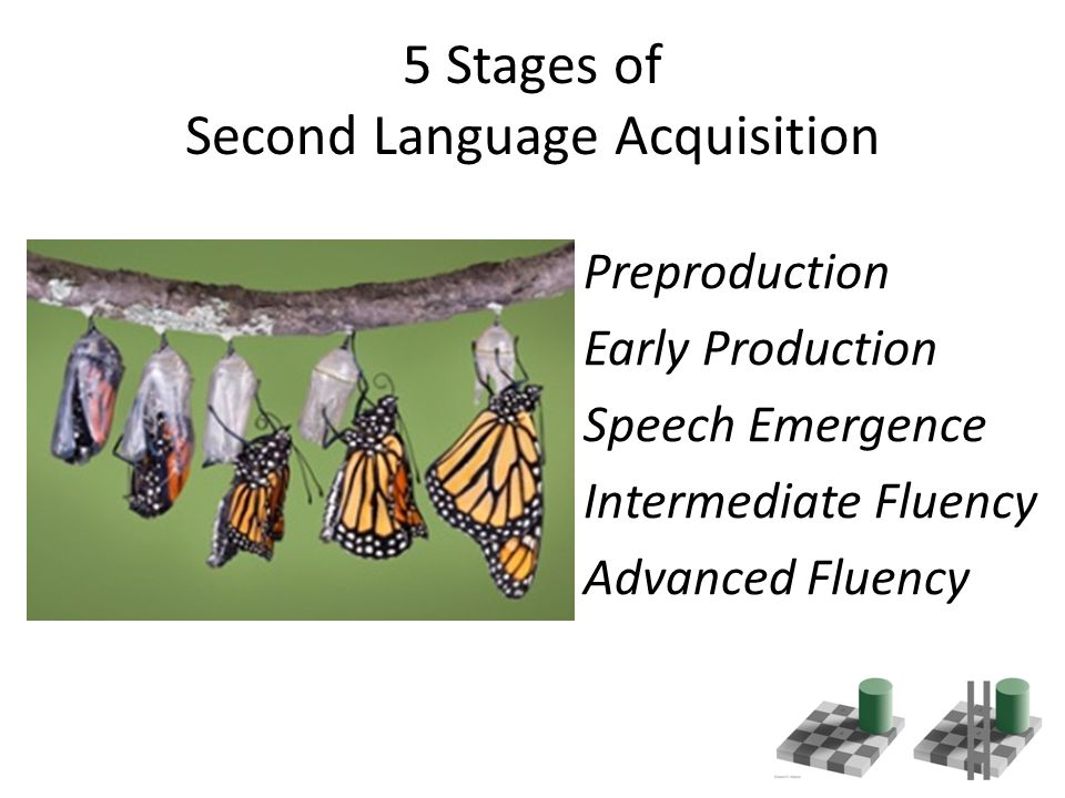 5 Stages of Second Language Acquisition Preproduction Early Production Speech Emergence Intermediate Fluency Advanced Fluency