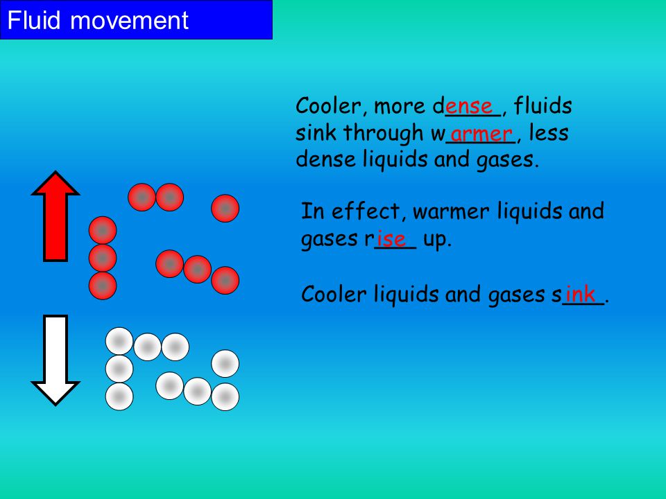 Fluid movement Cooler, more d____, fluids sink through w_____, less dense liquids and gases.