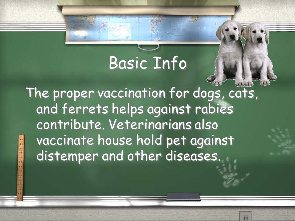 Basic Info Veterinary Medicine is the branch of medicine that deals with the diseases of animals.