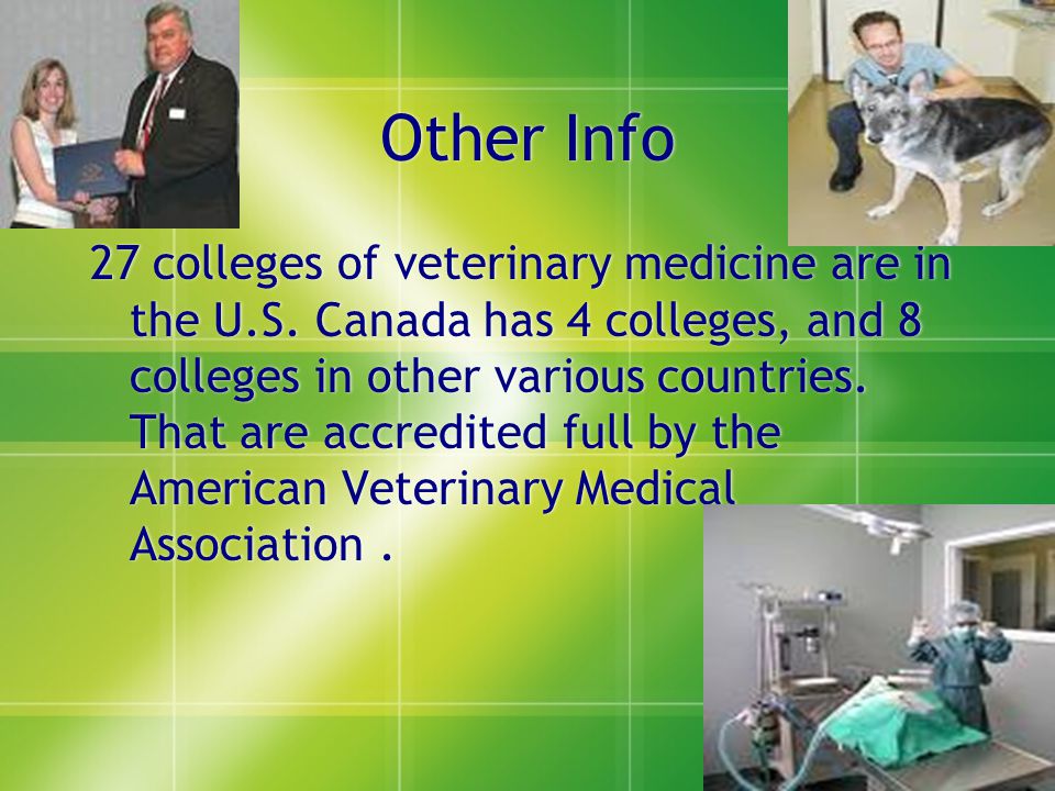 On the Farm Vets are important on farms too.