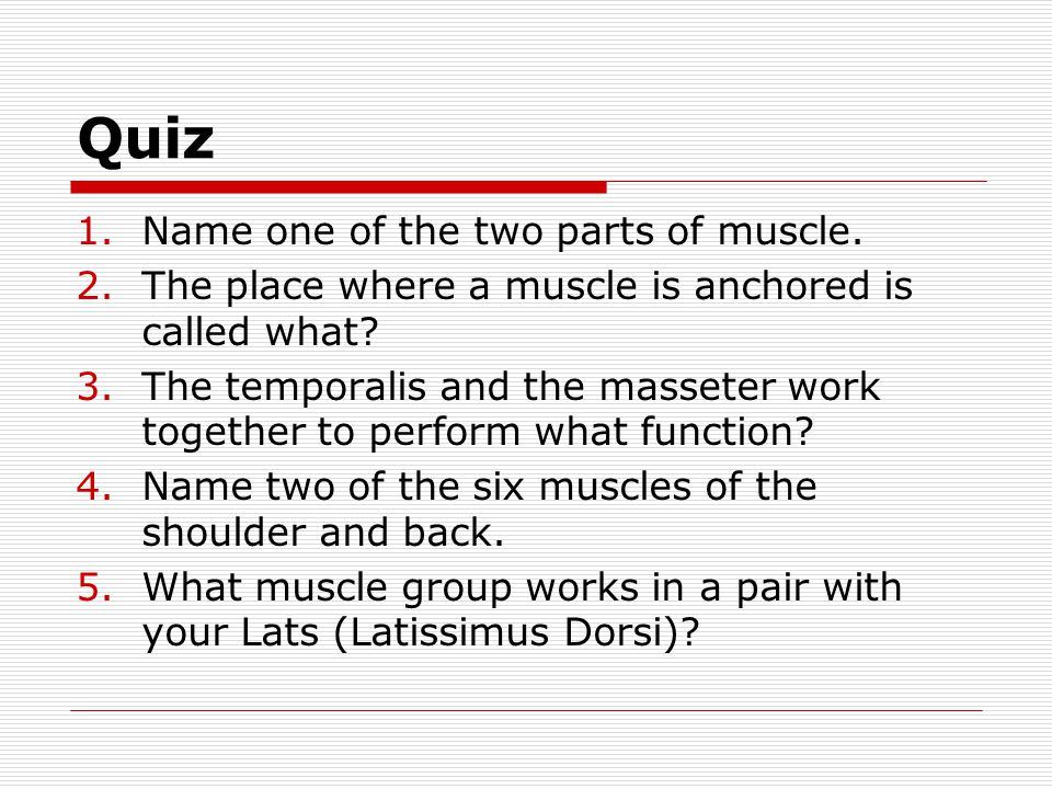 Quiz 1.Name one of the two parts of muscle. 2.The place where a muscle is anchored is called what.