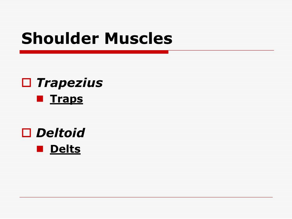 Shoulder Muscles  Trapezius Traps  Deltoid Delts