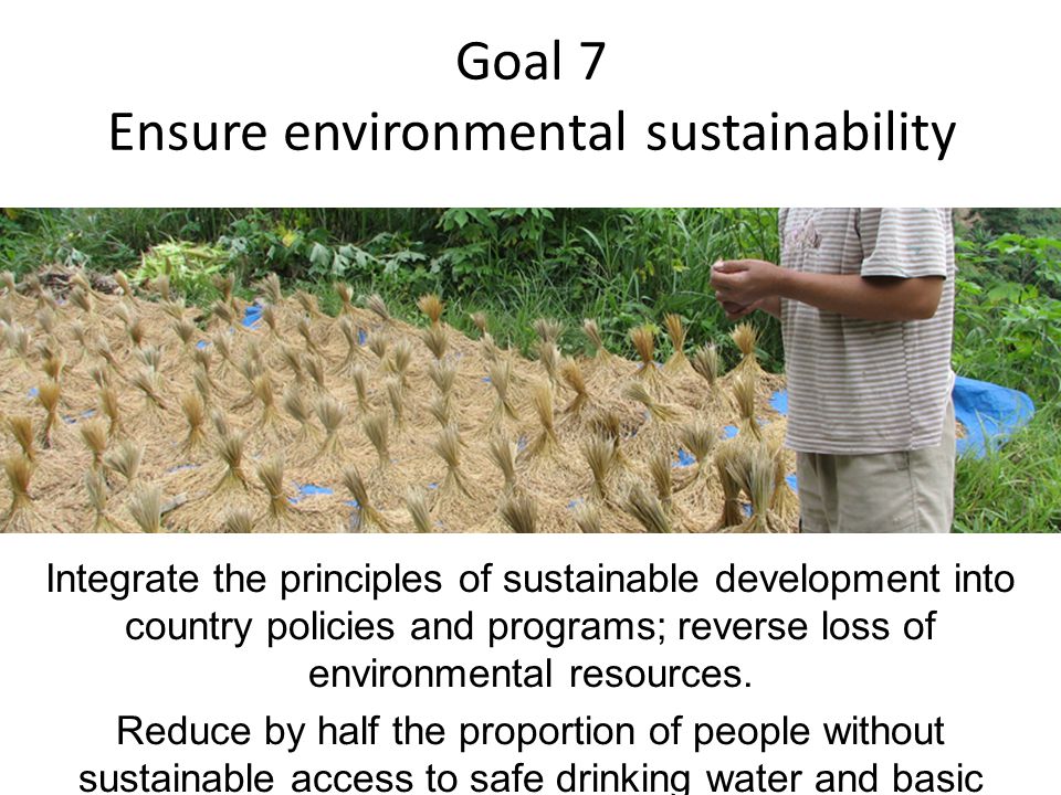 Goal 7 Ensure environmental sustainability Integrate the principles of sustainable development into country policies and programs; reverse loss of environmental resources.