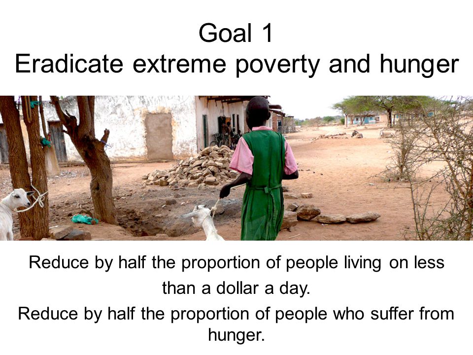 Goal 1 Eradicate extreme poverty and hunger Reduce by half the proportion of people living on less than a dollar a day.