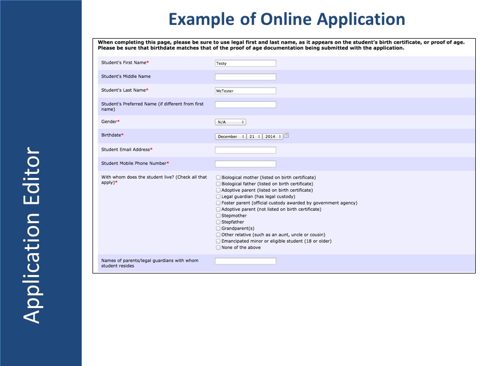 Application Editor Example of Online Application