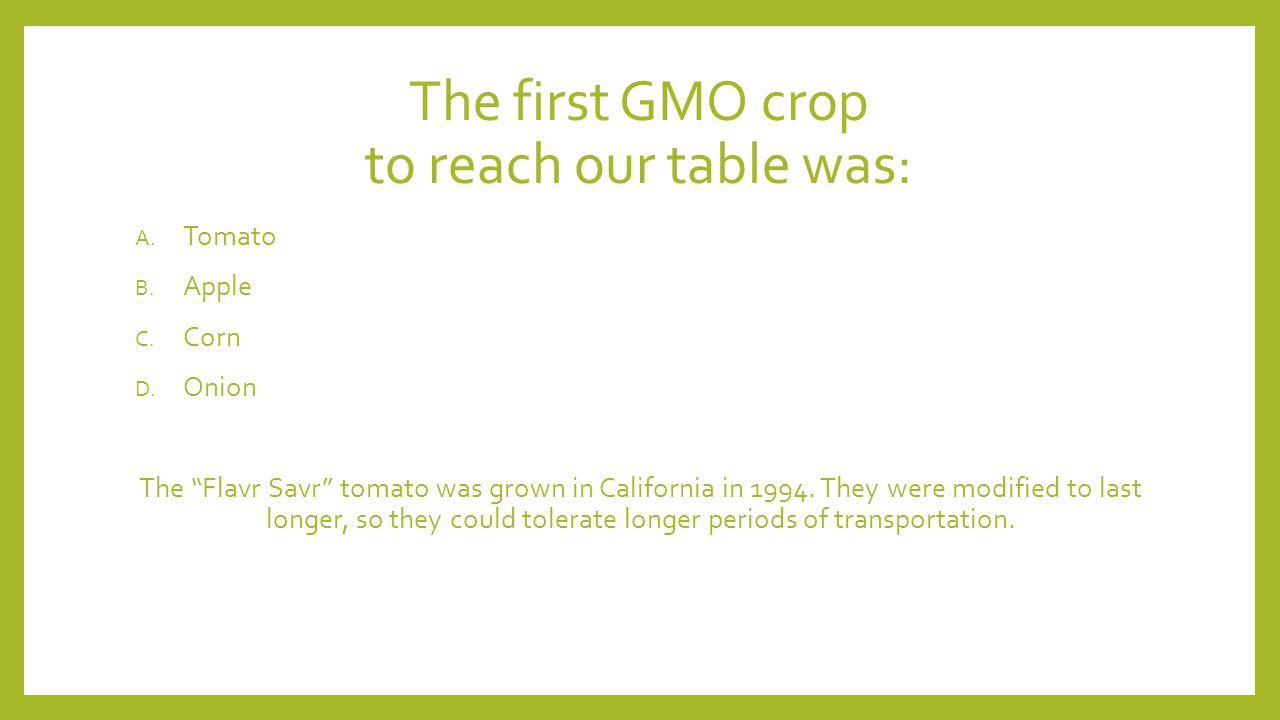 The first GMO crop to reach our table was: A. Tomato B.