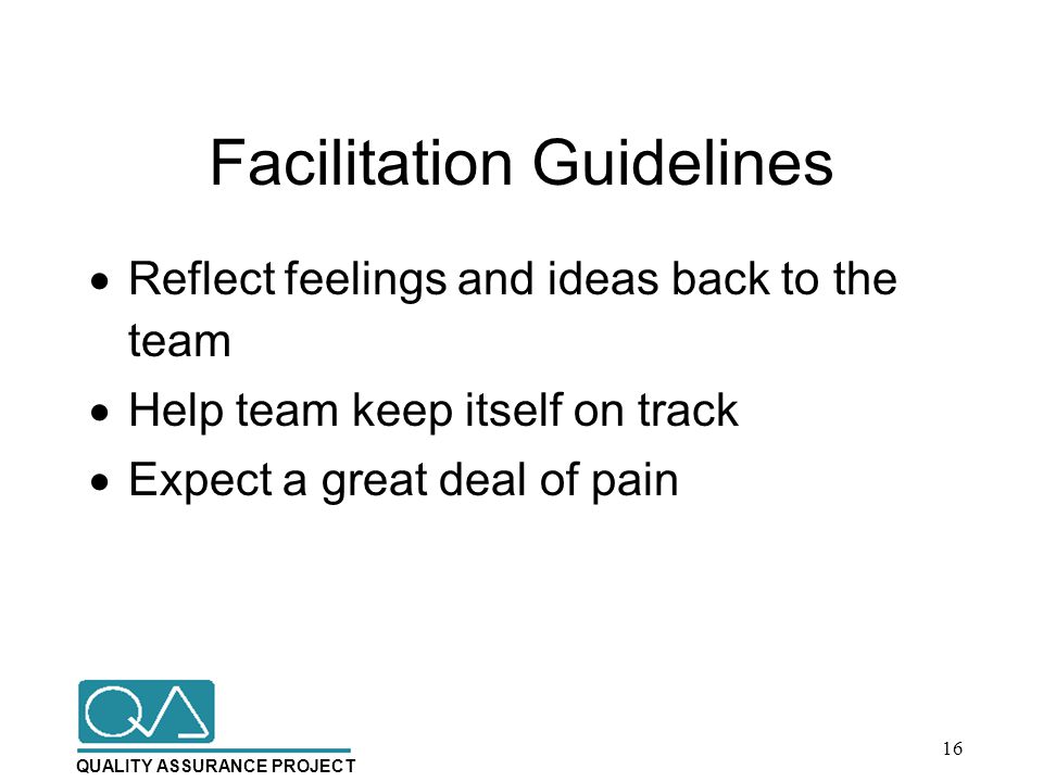 QUALITY ASSURANCE PROJECT Facilitation Guidelines  Reflect feelings and ideas back to the team  Help team keep itself on track  Expect a great deal of pain 16