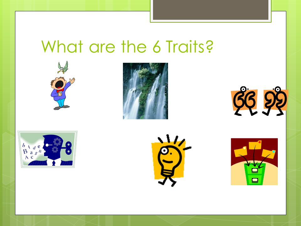 What are the 6 Traits