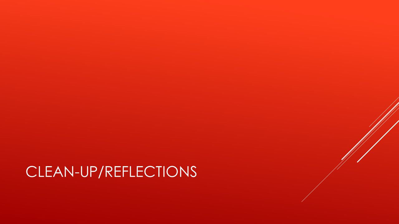 CLEAN-UP/REFLECTIONS