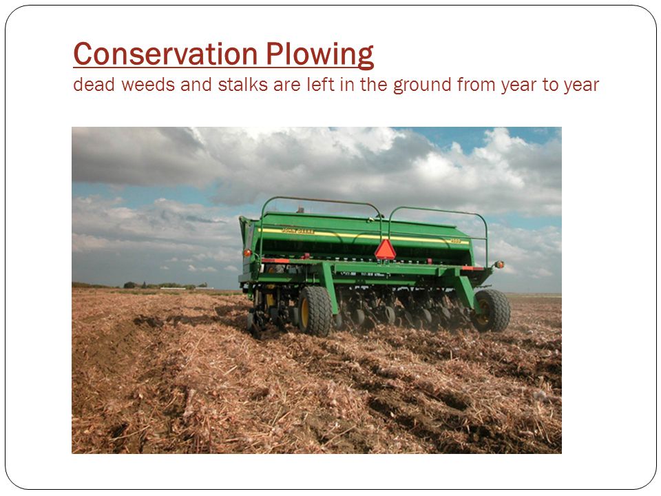 Conservation Plowing dead weeds and stalks are left in the ground from year to year