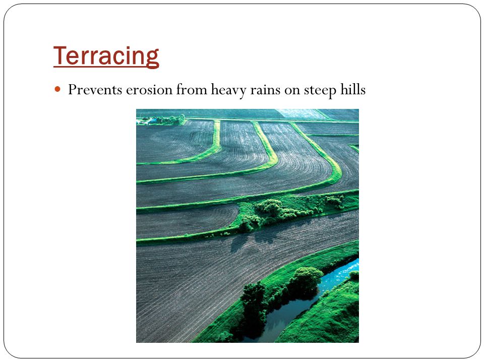 Terracing Prevents erosion from heavy rains on steep hills