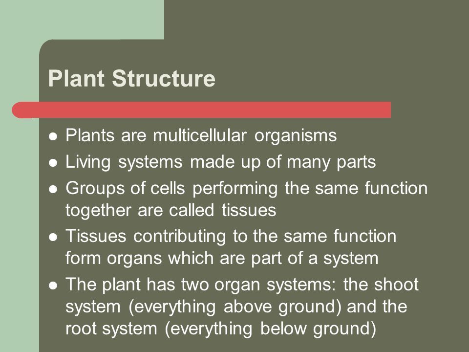 cycling of matter in living systems 3 1 cells tissues and systems groups of tissues with the same function form