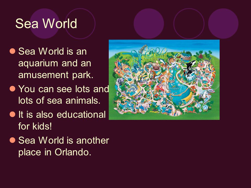 Sea World Sea World is an aquarium and an amusement park.