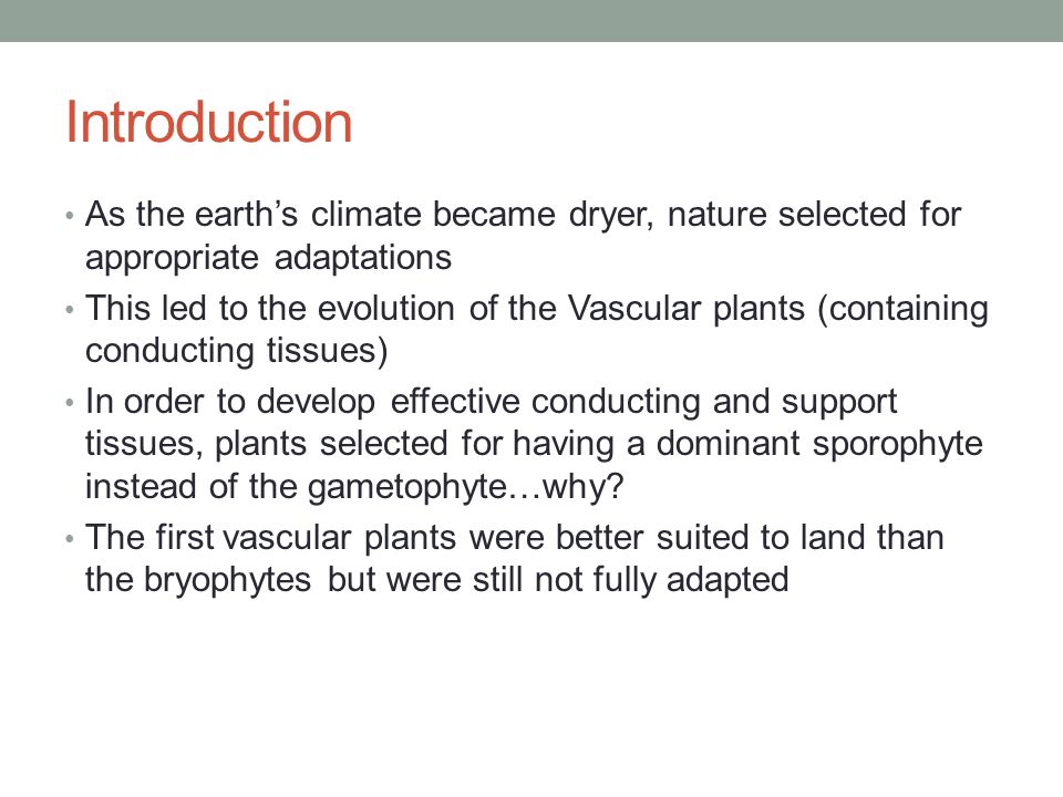 Objectives By the end of the lesson you should be able to: Compare and contrast bryophytes and pteridophytes Describe the life cycle of a pteridophyte Give some examples of pteridophytes
