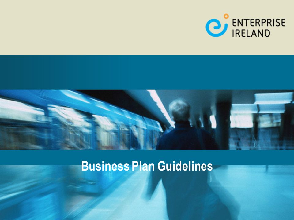 Business Plan Guidelines