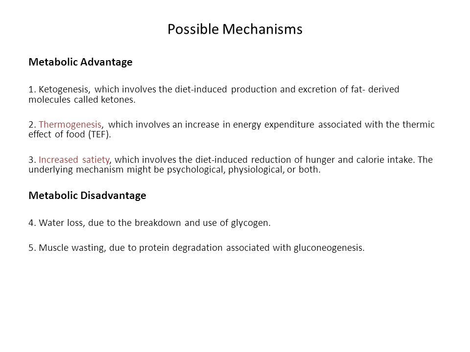 underlying mechanisms involved in muscle
