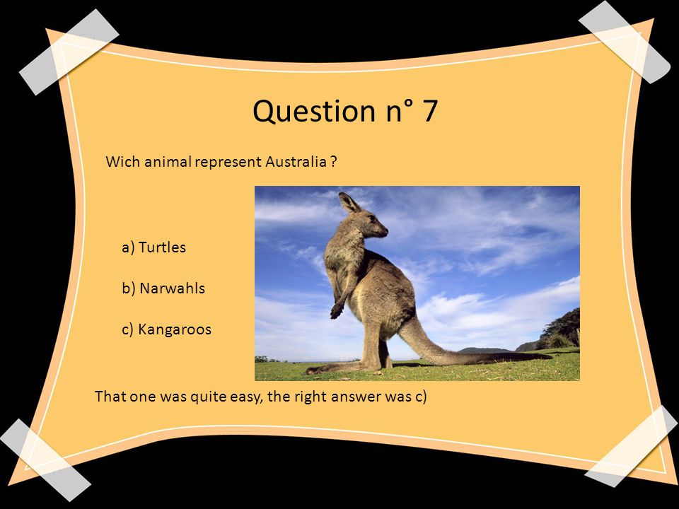 Question n° 7 Wich animal represent Australia .